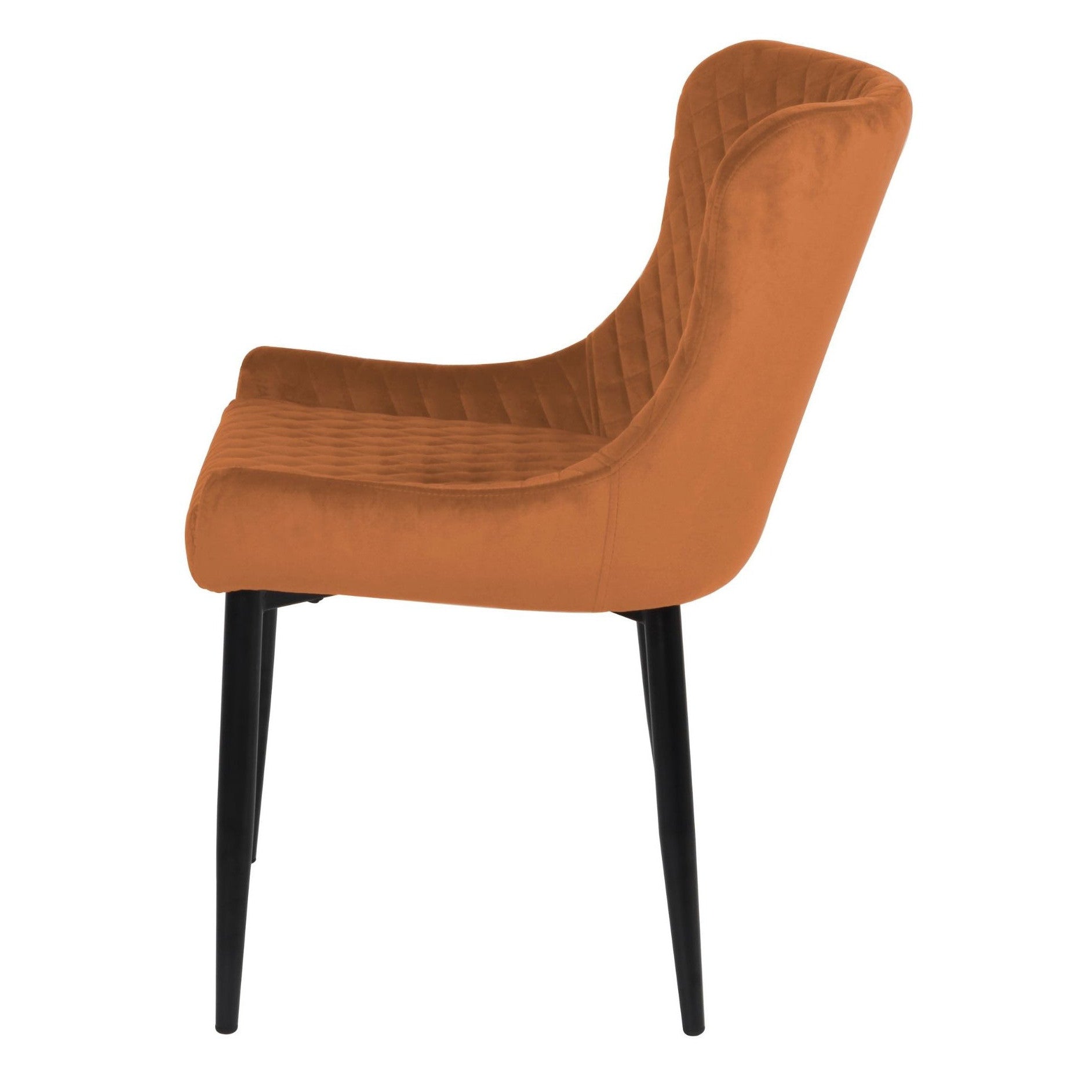 Talia Dining Chair