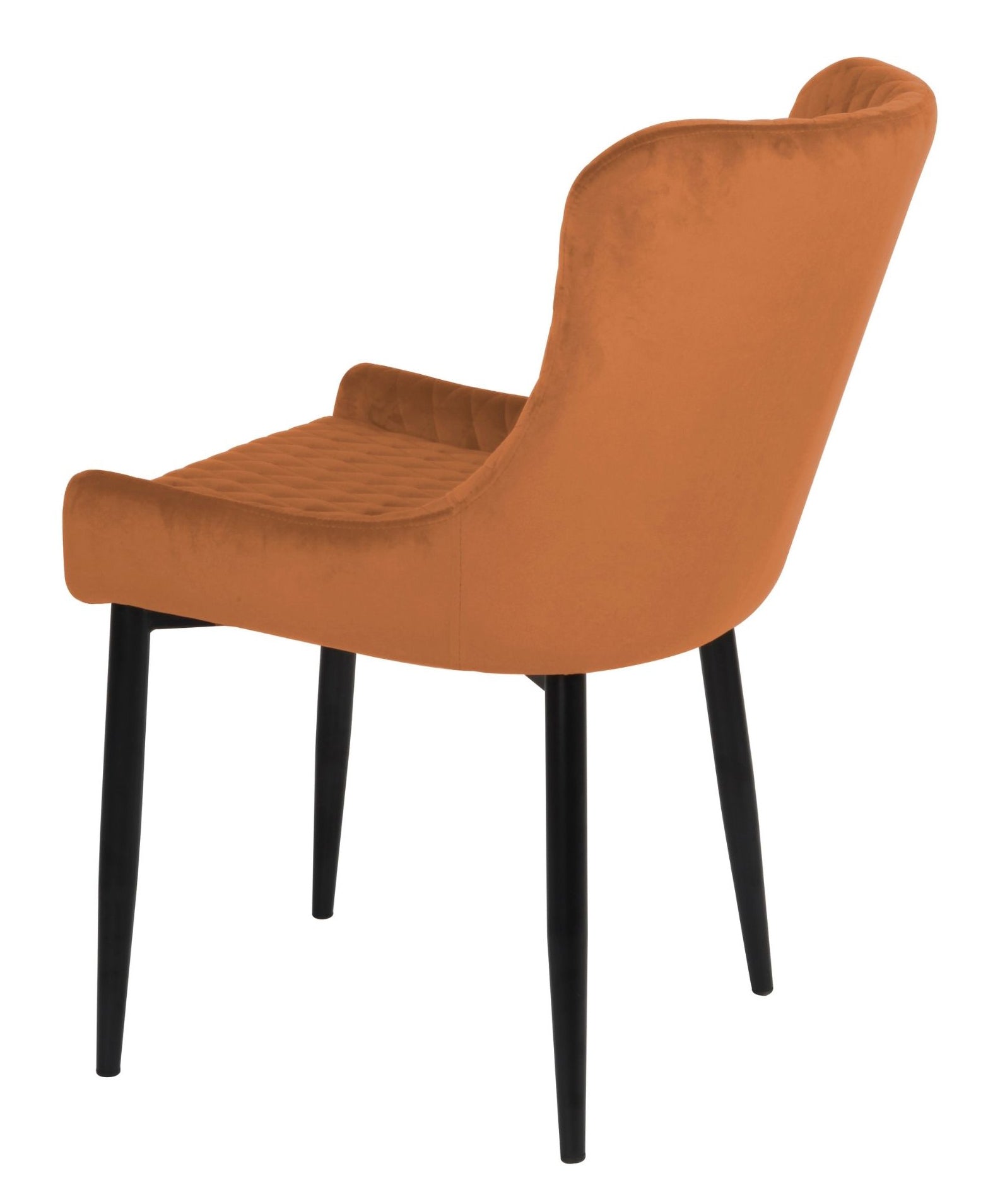 Talia Dining Chair