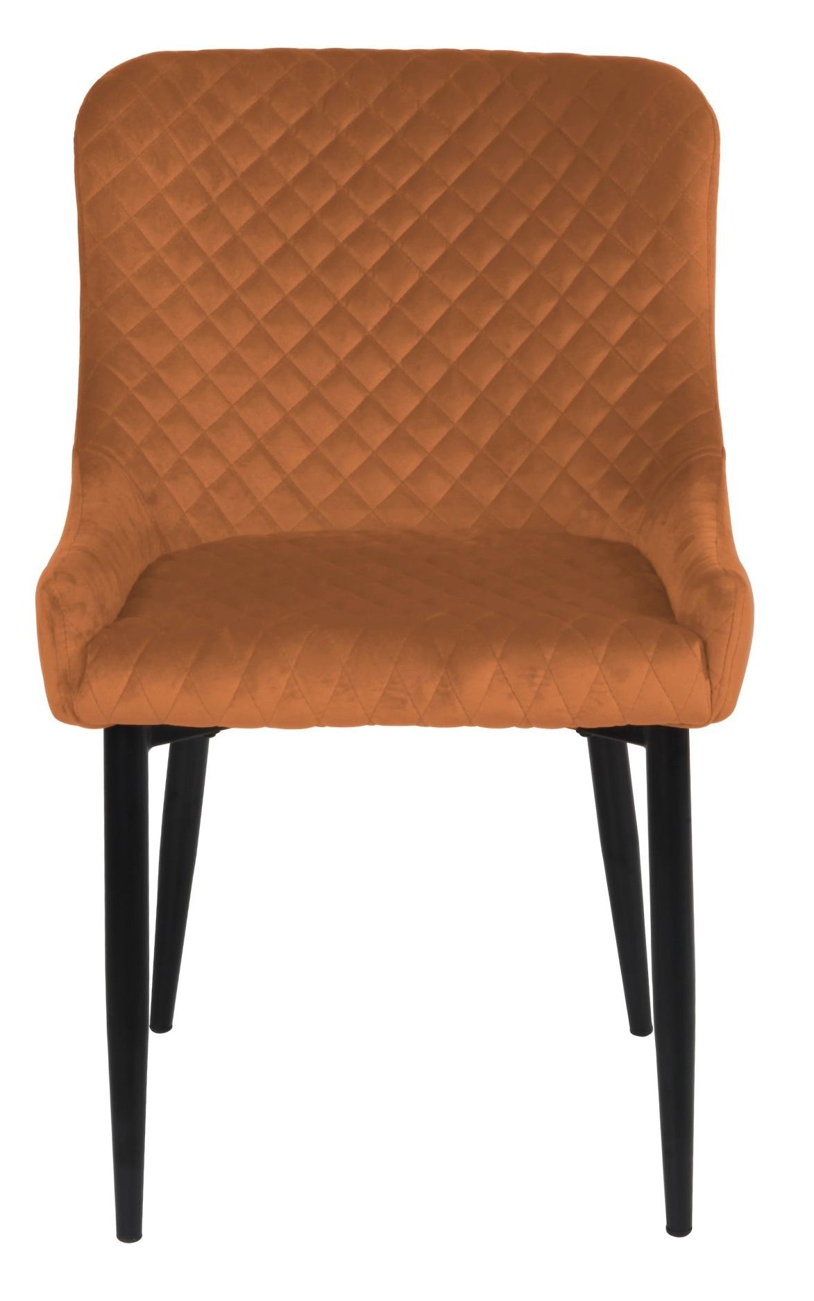 Talia Dining Chair