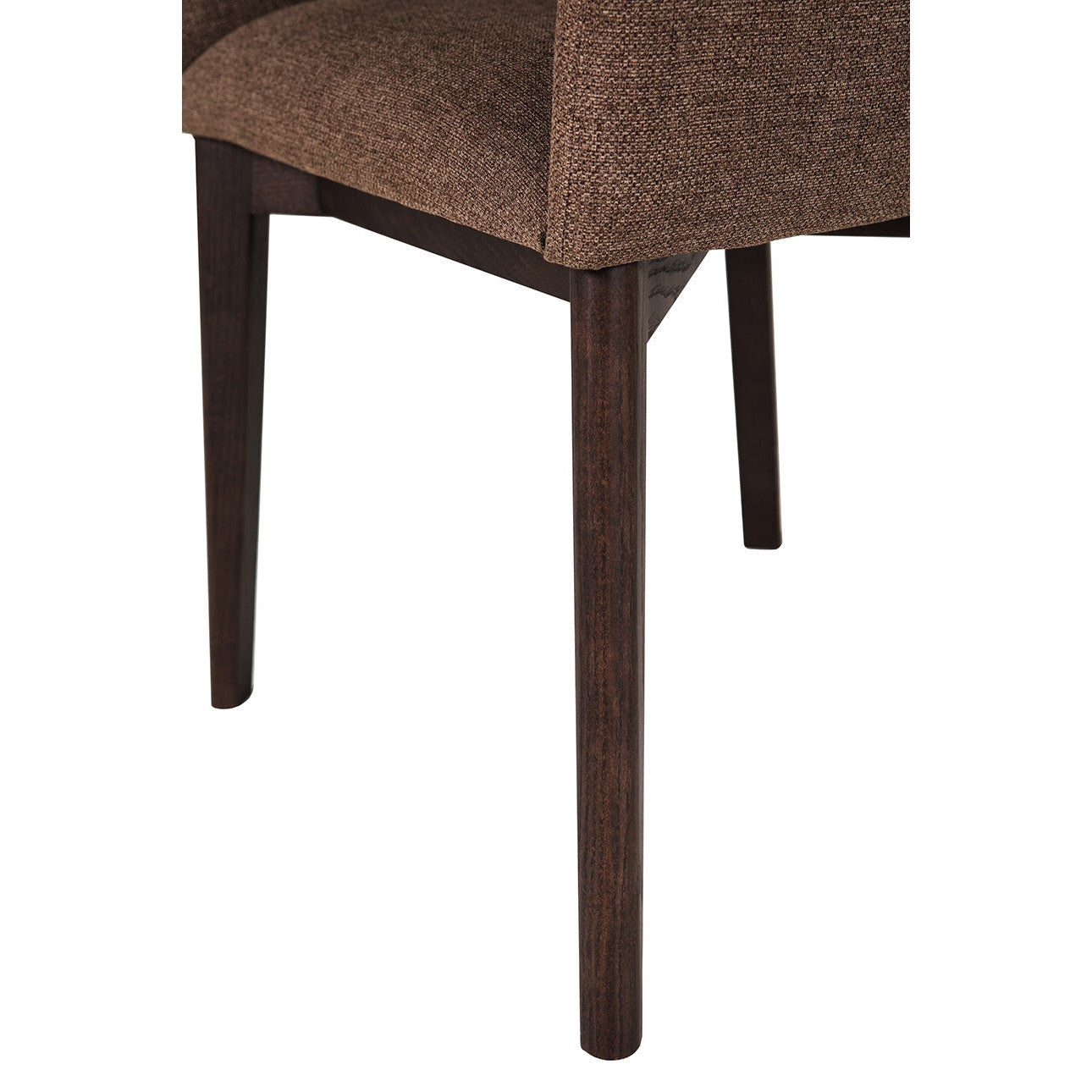 Ariya Dining Chair
