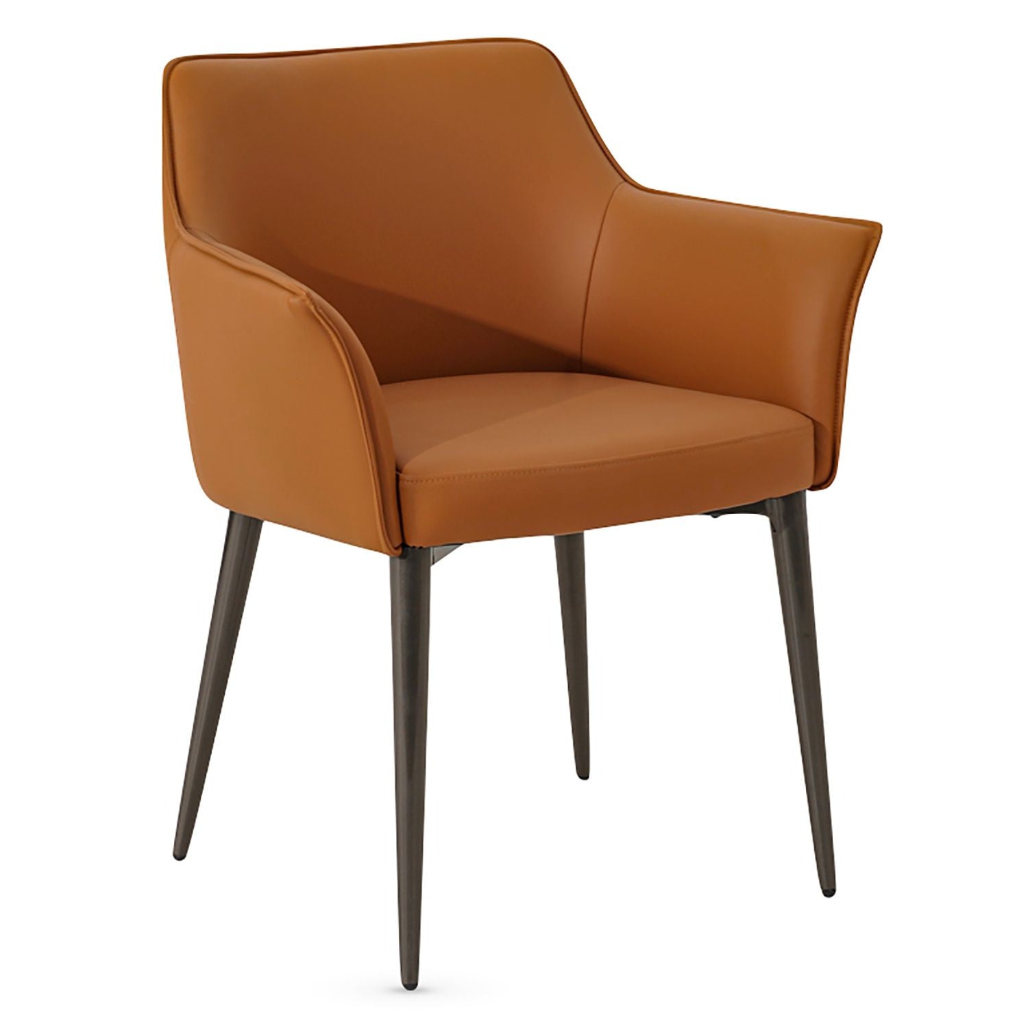 Campania Dining Chair