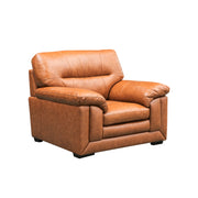 Tuscany Leather Electric Recliner Armchair