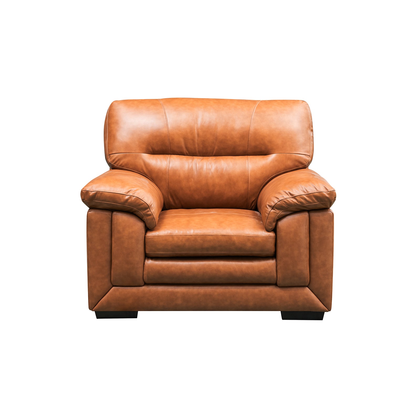 Tuscany Leather Electric Recliner Armchair